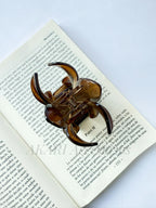 Pinzas para cabello de flor