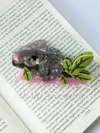 Pinza de cabello de Koala