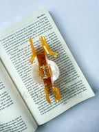 Pinzas de cabello de caballito de mar